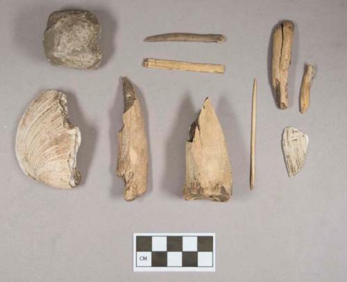 Organic, antler fragment; worked antler fragment; animal bone fragments; worked animal bone fragments, including one beamer or scraper fragment worked from metapodial; bivalve shell fragment; worked bivalve shell fragment; ground stone, pecked and ground stone fragment