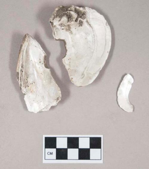 Organic, worked bivalve shell fragments, perforated; two fragments crossmend