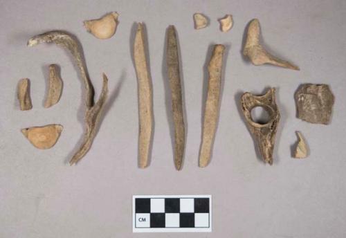 Organic, animal bones and bone fragments, some possible fish bones