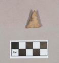 Chipped stone, projectile point, triangular, with cortex