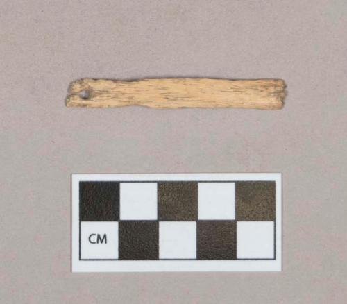 Organic, worked animal bone fragment, flat, perforated at one end