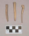 Organic, animal bone fragments, including one ulna fragment