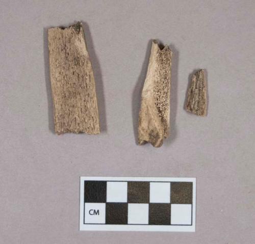 Organic, animal bone fragments, possibly worked