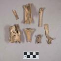 Organic, animal bone fragments, including vertebrae, scapula, and long bones, some bird bones