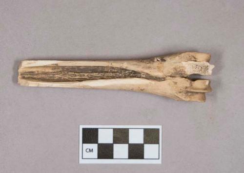 Organic, worked animal bone fragment, metapodial, possible scraper or beamer; two fragments crossmended with glue