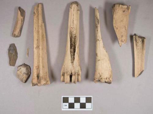 Organic, worked animal bone fragments, likely beamers or scrapers, worked from metapodials; two fragments crossmended with glue; worked antler fragment; chipped stone, flake; prismatic blade, with cortex