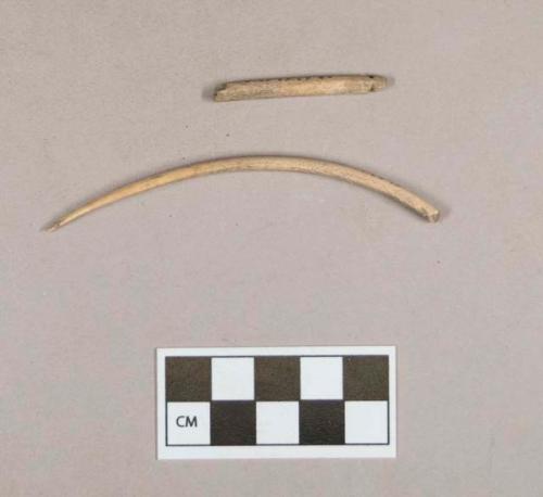 Organic, worked bone fragments, notched at one end