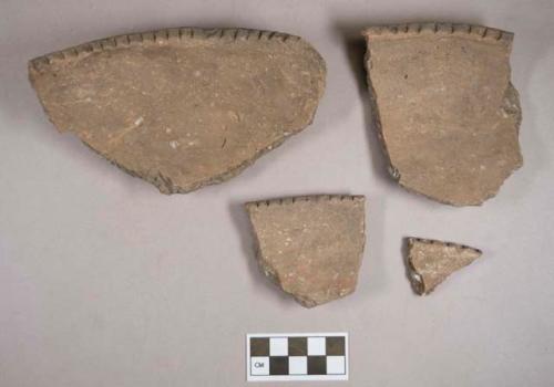 Ceramic, earthenware rim sherds, notched rim, shell-tempered