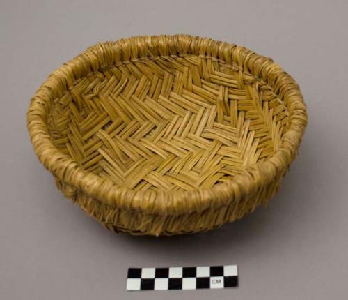 Yucca basket