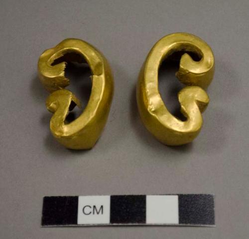 Gold Ears (Human type)