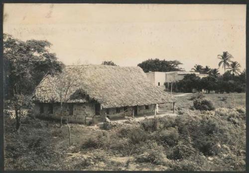 Hacienda Chichen, view of guest house looking southeast