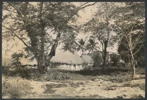 Home of Juan Olalde, native mayordomo of Chichen