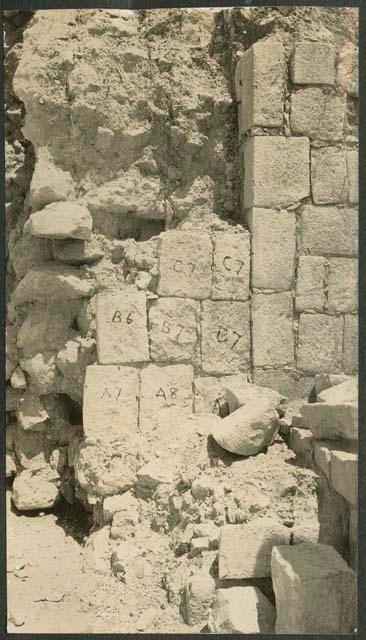 Temple of Wall Panels, during excavation