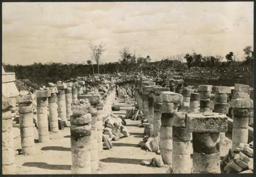 North Colonnade, after completion of excavation