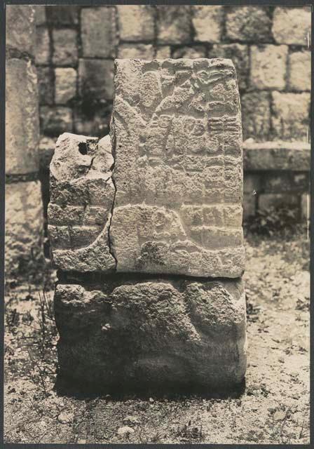 Temple of the Wall Panels, sculpted serpent's tail