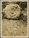 Caracol, sculptured stone in lower stairway