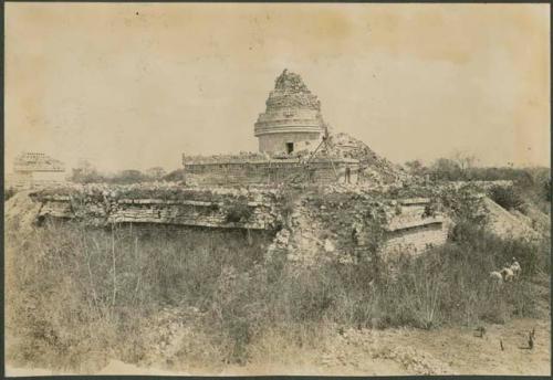 Caracol, South Annex before excavation