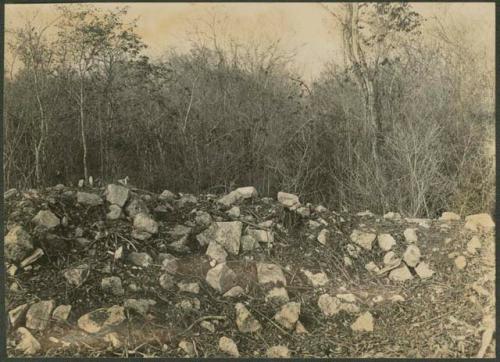 Casa Redonda, view of mound before excavation