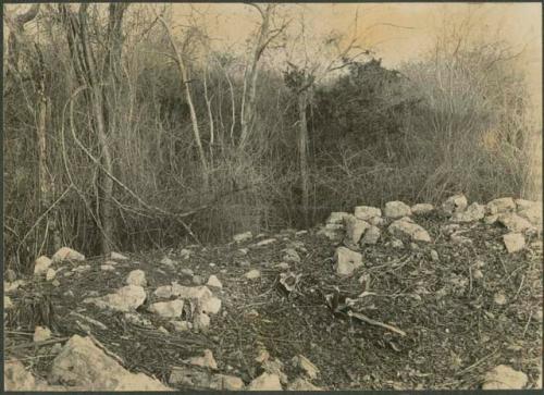 Casa Redonda, view of mound before excavation