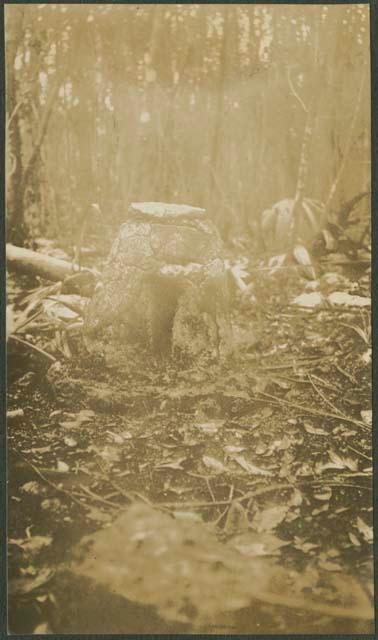 North side of sacbe leading to Coba stucco altar