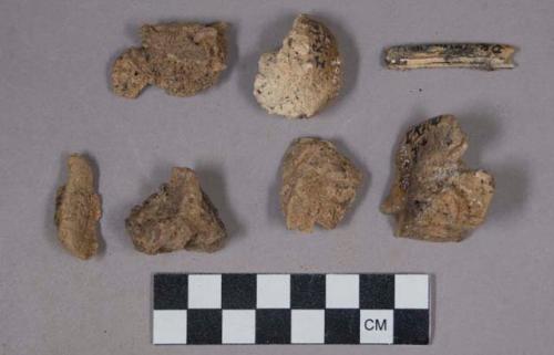 Bone fragments and teeth