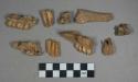 25 gazelle dorcas teeth and jaw bone fragments