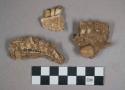 28 larger gazelle teeth and jaw fragments