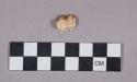 Faunal remains, tooth