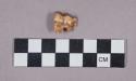 Faunal remains, tooth