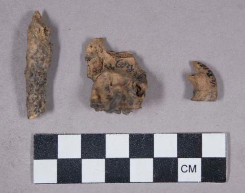 Faunal remains, teeth in bone, bone