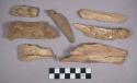 Faunal remains, bone fragments