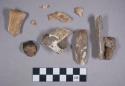 Faunal remains, bone fragments