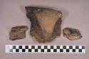 Ceramic, earthenware rim and body sherds, shell-tempered, incised and undecorated, one with strap handle