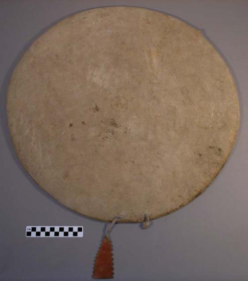 Buckskin cover for ceremonial shield (08-4-10/73502.1)