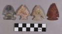 Chipped stone, projectile points, stemmed, corner-notched, and side-notched