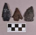 Chipped stone, projectile points, stemmed