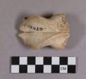 Organic, faunal remains, bone, skull fragment; mended