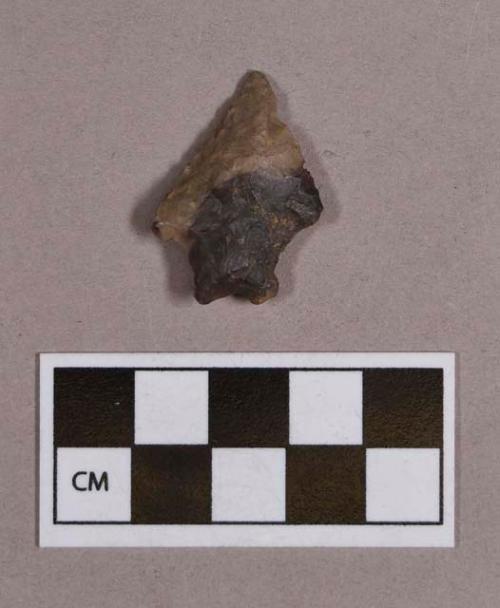 Chipped stone, projectile point, bifurcate base