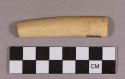 Organic, bone tube fragment