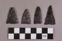 Chipped stone, edged tools, perforators, and projectile points