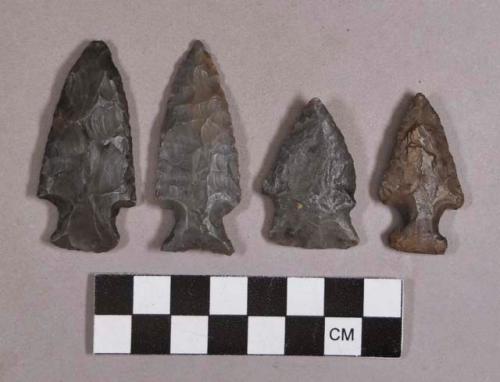 Chipped stone, projectile points, stemmed, corner-notched, and side-notched