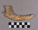 Organic, faunal remains, bone, mandible fragment
