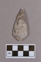 Chipped stone, projectile point, lanceolate