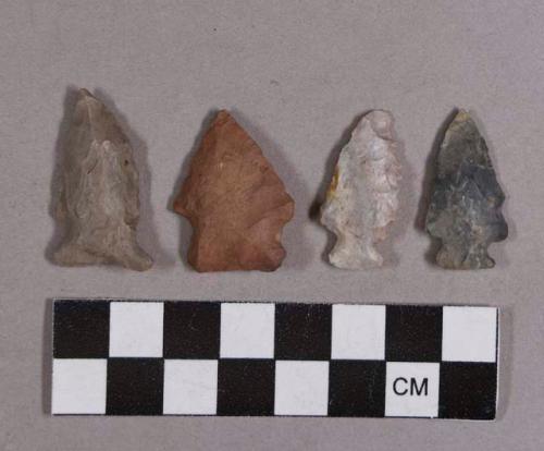 Chipped stone, projectile points, side-notched and stemmed