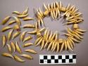 Necklace, animal teeth & 6 tubular ivory beads, faceted, some loose