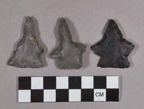 Chipped stone, perforators and stemmed projectile points