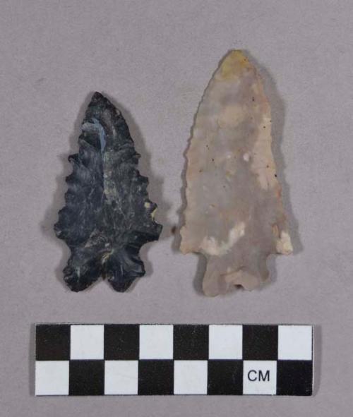 Chipped stone, projectile point, bifurcate base, one with serrated blade
