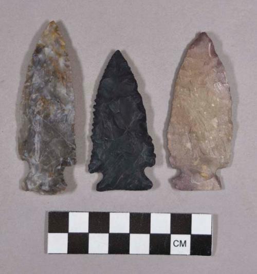 Chipped stone, projectile points, stemmed, bifurcate base, and side-notched, one with serrated blade