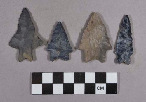 Chipped stone, projectile points, bifurcate base