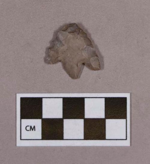 Chipped stone, projectile point, basal-notched